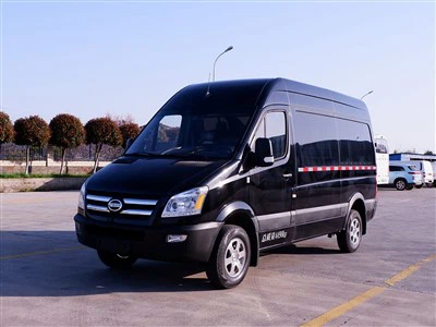 Skyworth D11 EV Light Pasażer