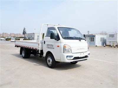 Skyworth K10L Micro Truck